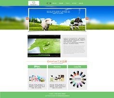 網(wǎng)頁與網(wǎng)站設計 打造卓越用戶體驗的關鍵要素